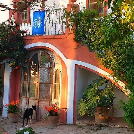 Cortijo El Triguero N-398 Ctra - El Viso Del Alcor Km 18 카르모나