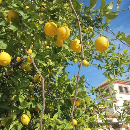 Cortijo El Triguero N-398 Ctra - El Viso Del Alcor Km 18 빌라 *